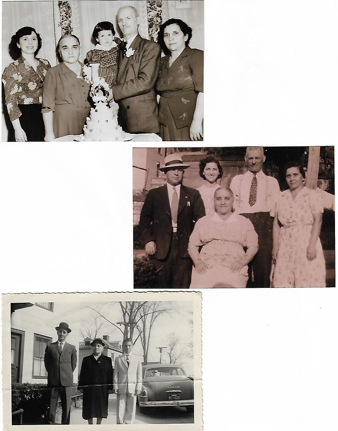 Mixed pics.jpg