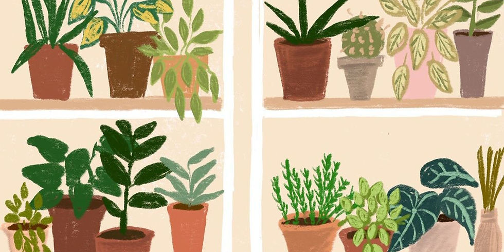 Short Story: Happy Plant