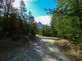 La piste