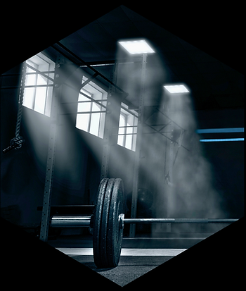 barbell with bumper weights