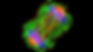 Differences between Cancer Cells and Normal Cells