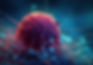 Cancer Lifestyle, Environmental, and Genetic Factors