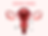 What Are the Different Types of Cervical Cancer?