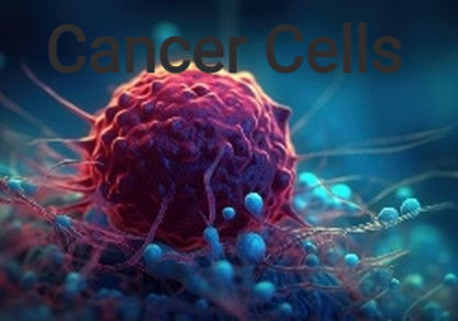 Close-up of a cancer cell in red and blue hues with a textured surface and fibrous extensions. Text reads "Cancer Cells" at the top.