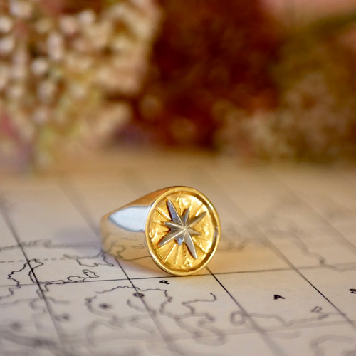 Chevalière rose des vents bicolore Bijoux