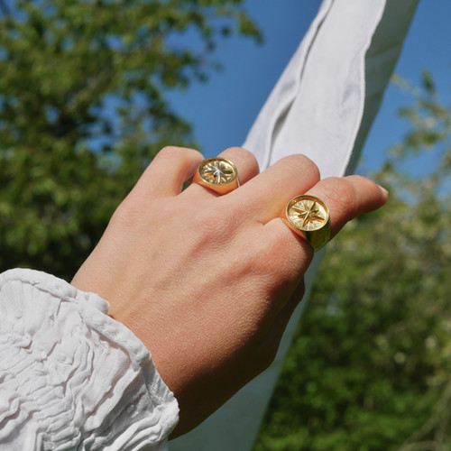 Chevalière rose des vents bicolore