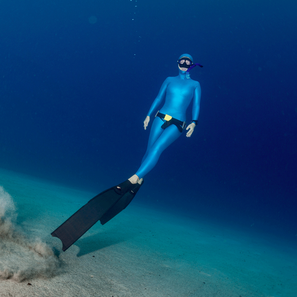 Plongée dans les abysses