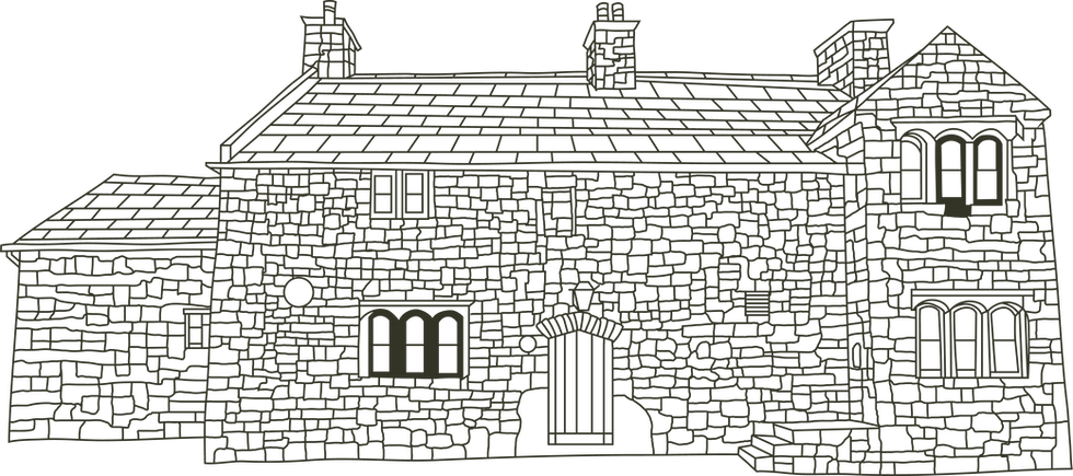 The Swan - Illustration