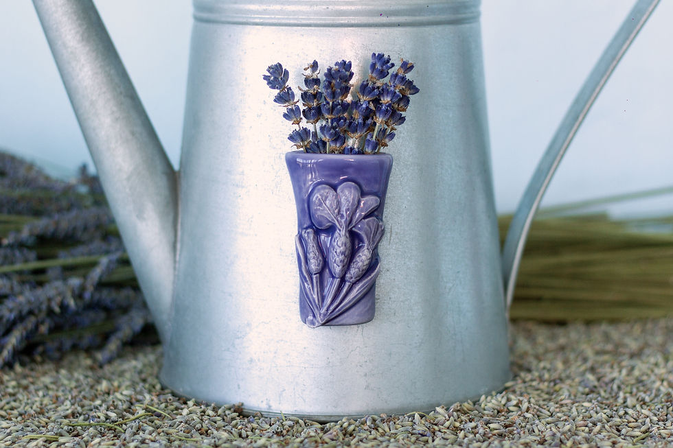 Vase Magnet, Stoechas