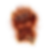 fury.png