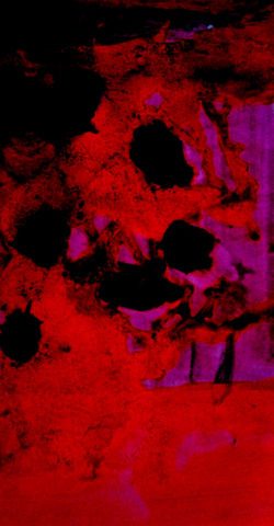 Red Traces