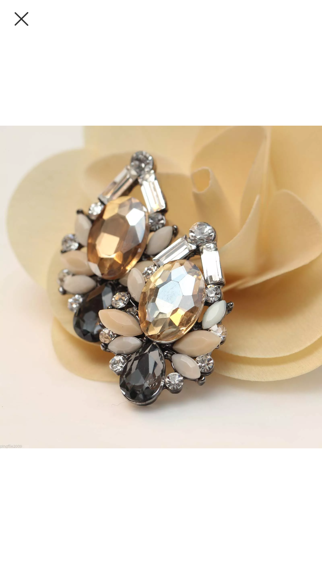 "Elegant" Glam Earrings