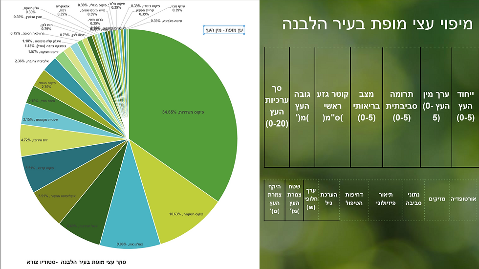 מיפוי עצי מופת בעיר הלבנה, מתוך ההרצאה של פלג בר און