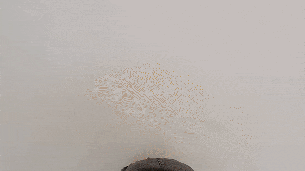 안석현