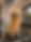 ChatGPT Image May 18, 2026, 04_56_01 PM.png