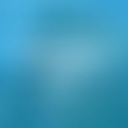 Portables Acquires Anika Wireless