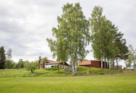 Gemenskapsdag/Familjefest