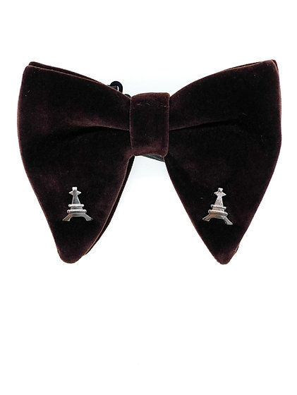 The Chocolate Viverette