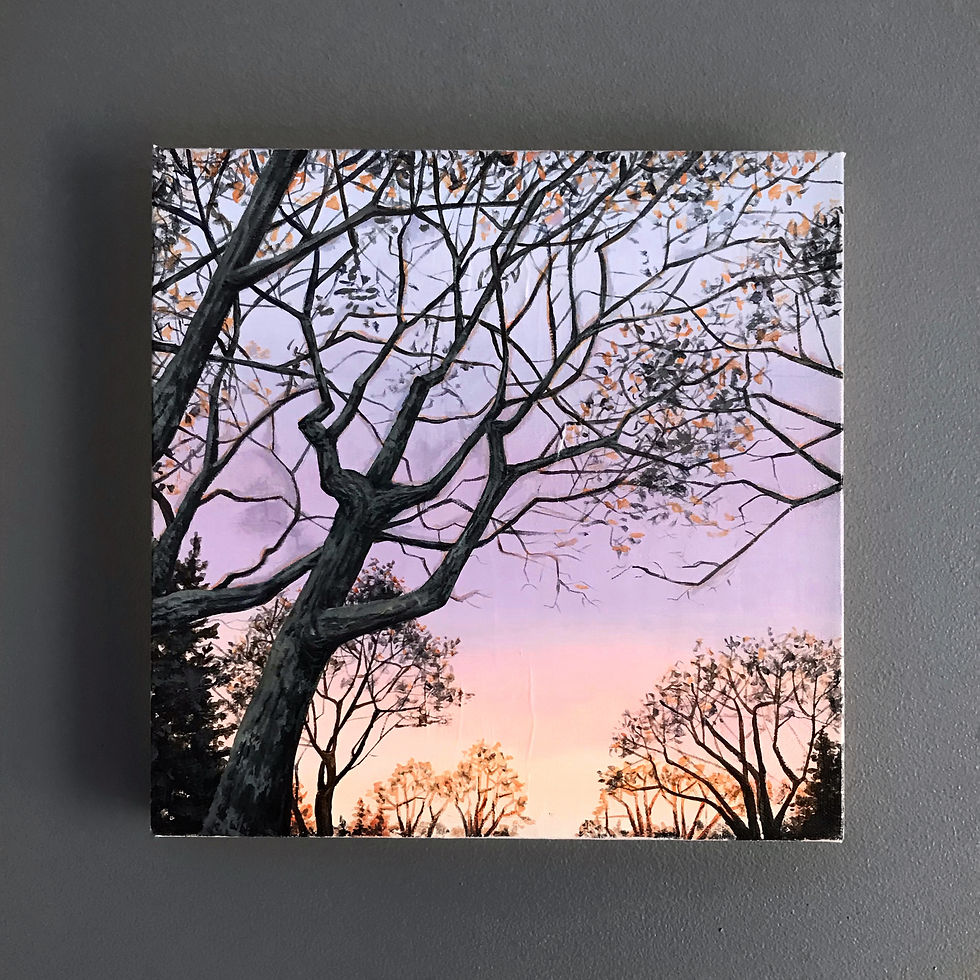 Thumbnail: Sunset Sweep (12"x 12")