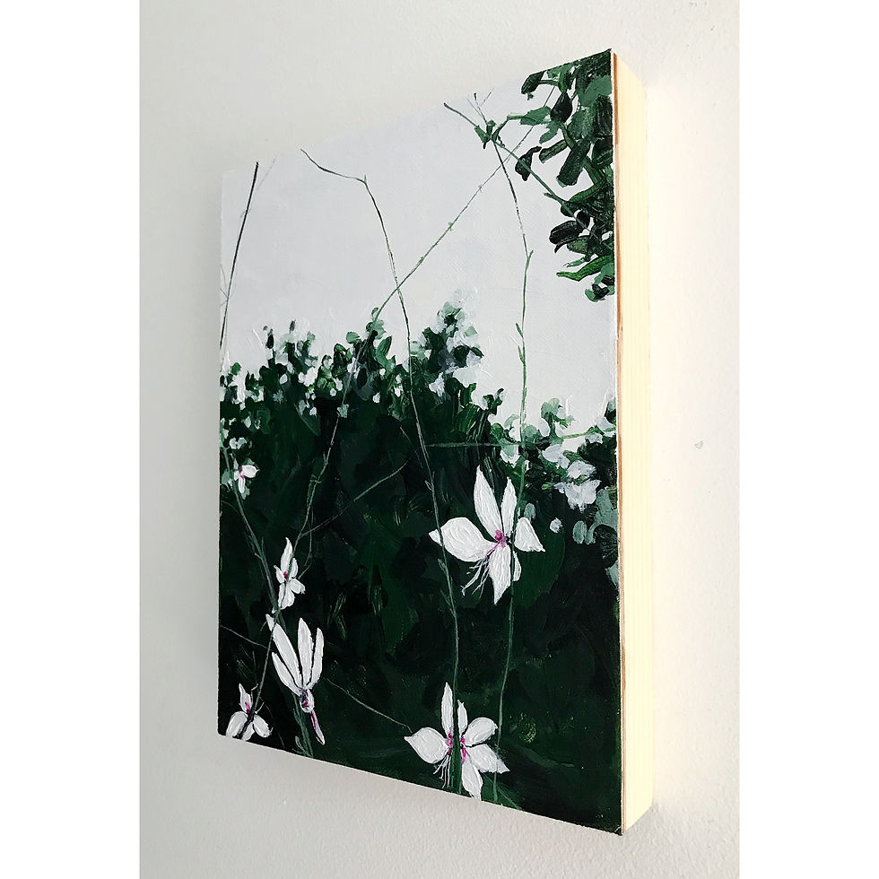 Thumbnail: Young Gaura (6"x 8"x 7/8")