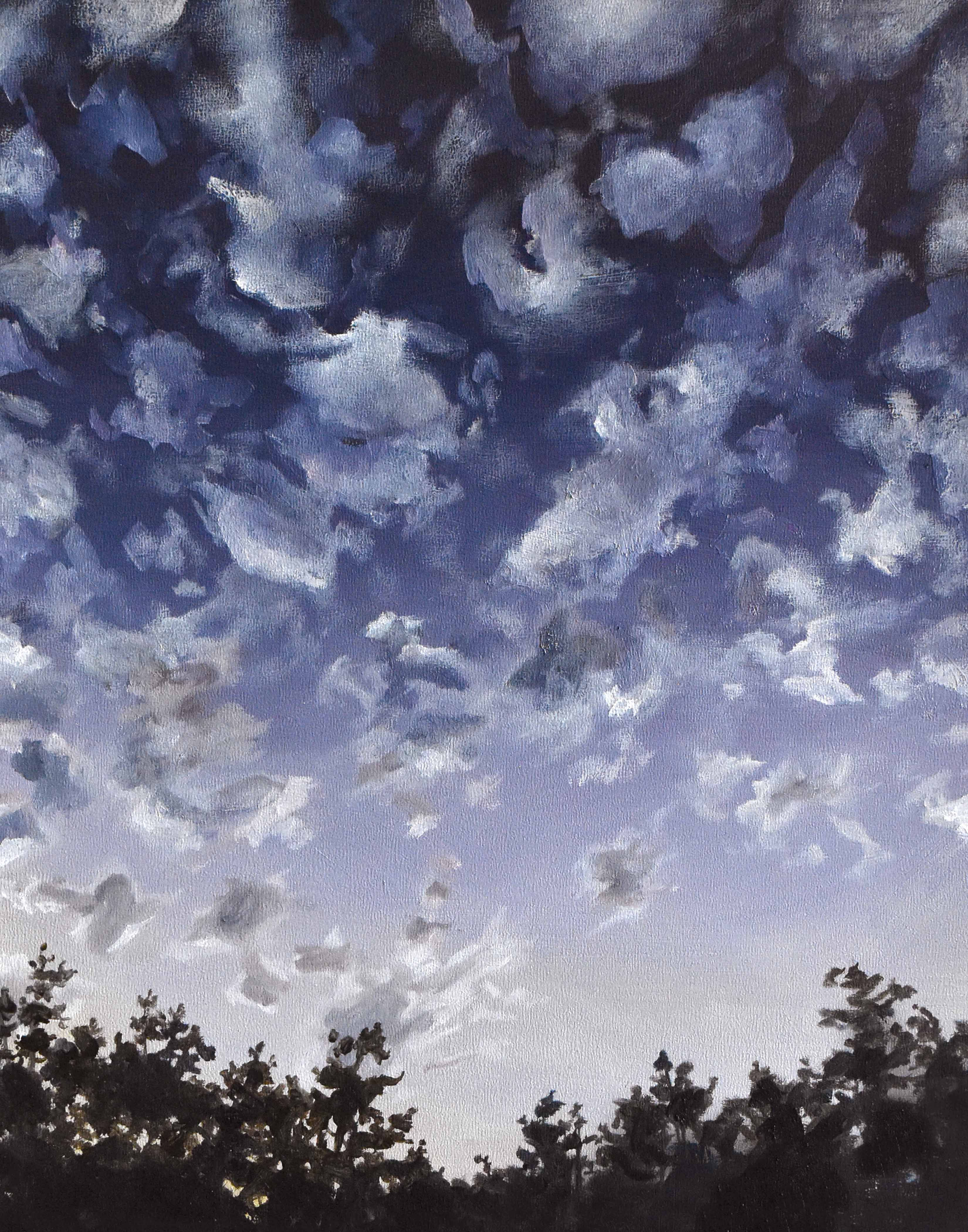 "Swim In The Sky" Print (11x14)