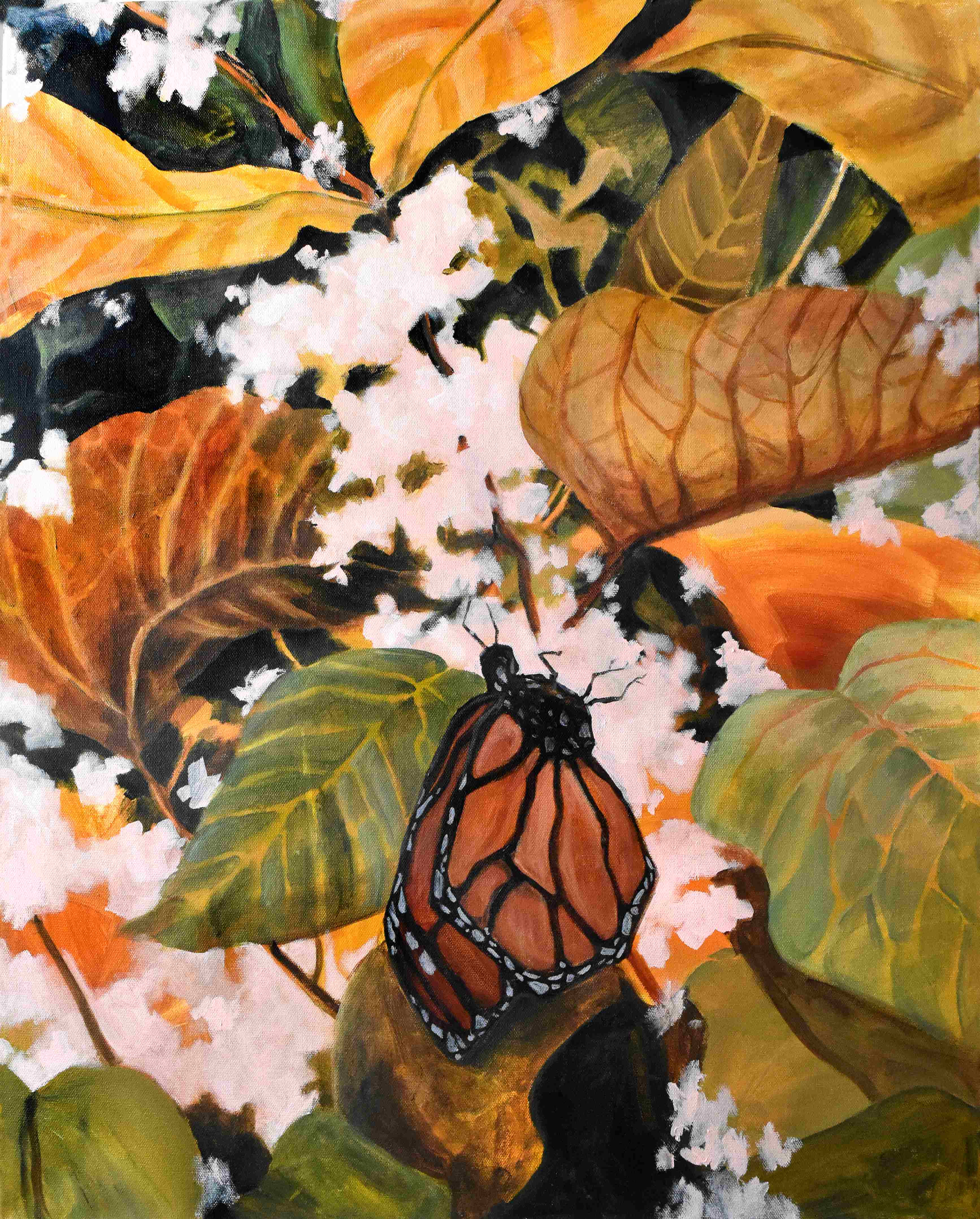 Monarch Print (11x14)