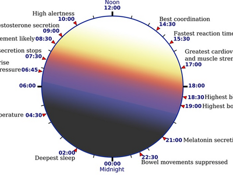 Circadian Rhythms and Their Impact on Sleep