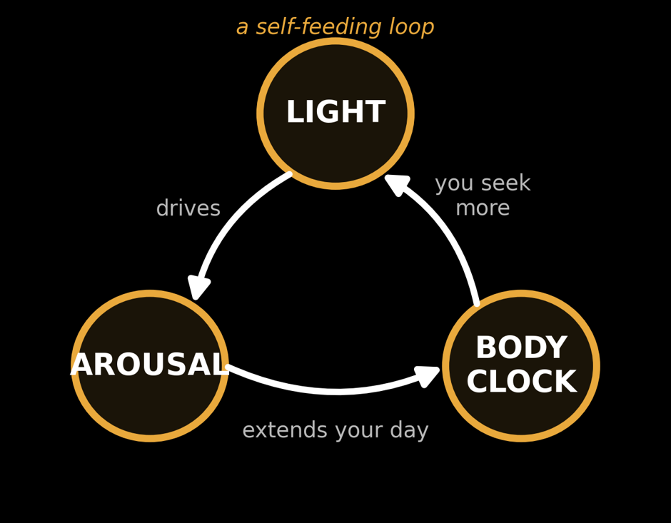 Self-feeding Loop