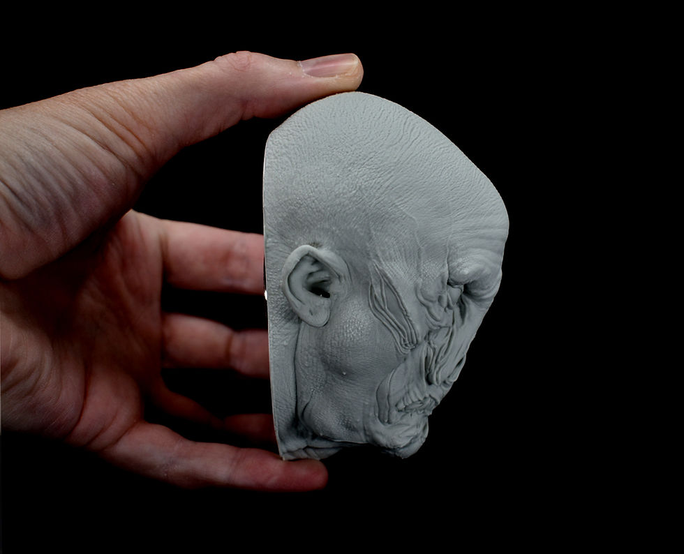 Thumbnail: Vampyre Head Plaque