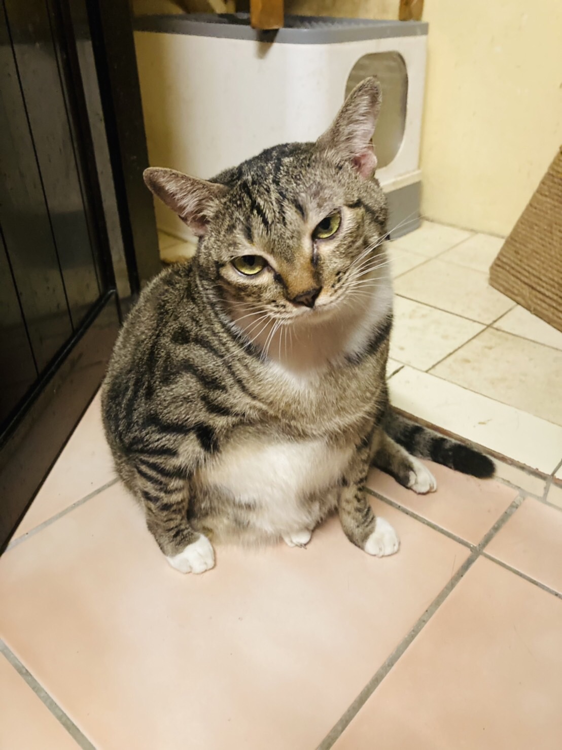 作家相片: TeNTeN