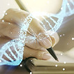 istockphoto-1290493654-612x612.jpg