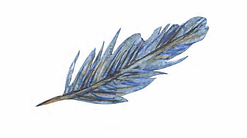 feather spot.png