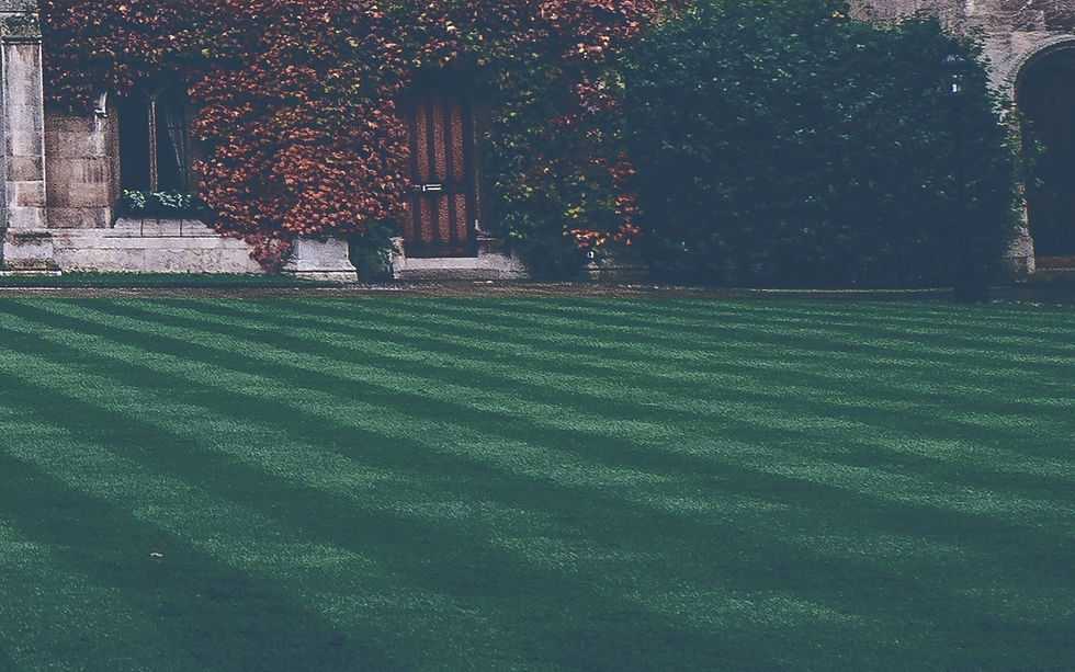 Lawn_edited.jpg