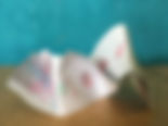 IMG_2974.jpeg