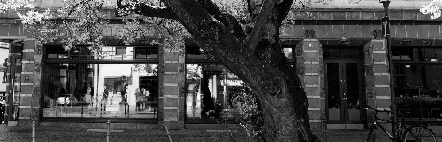 treewithtilehouse