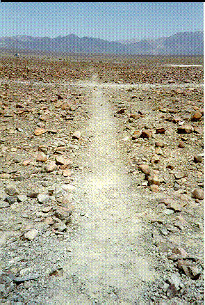 traceGplan