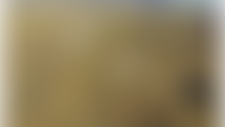 Monthly rollup | June 2021