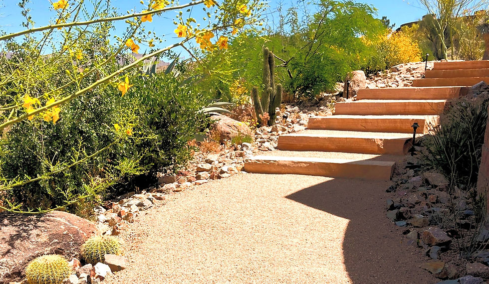 Landscape Design-Build, Carefree