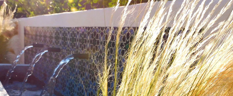 Landscape Design-Build, Phoenix