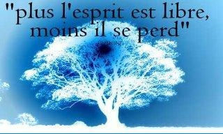 libre
