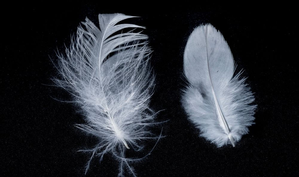 Life After Death A Message from the Other Side