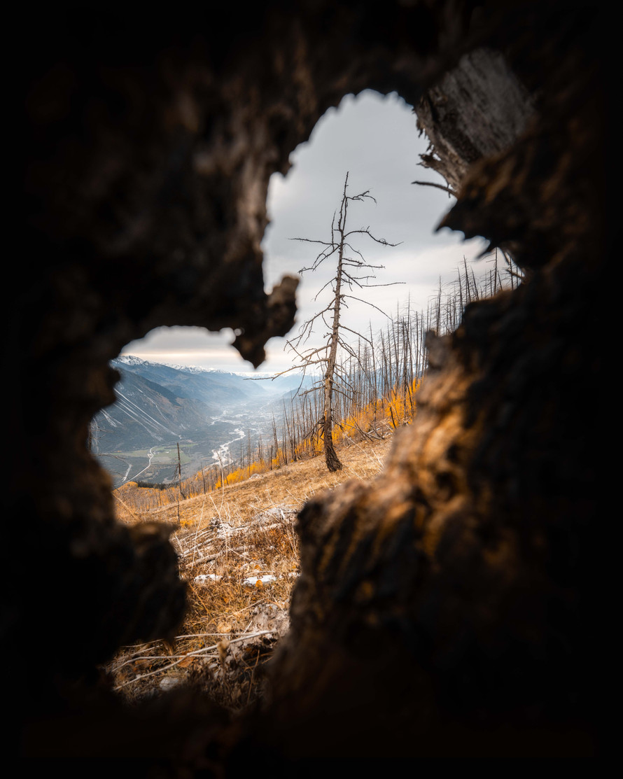 BZ7_2661-Edit.jpg