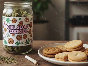 Girl Scout Cookies (GSC) – The Modern Icon