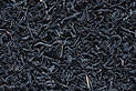 Les feuilles de thé