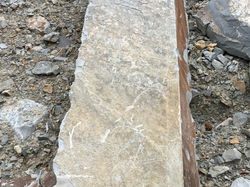 IMG_0290-e1501106771320-800x600