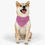 Thumbnail: Pet Bandana Collar