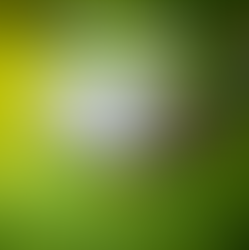 2025 NTRCA Golf Winners & Photos