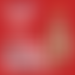 NTRCA, MRCA & RCAT Joint Holiday Party