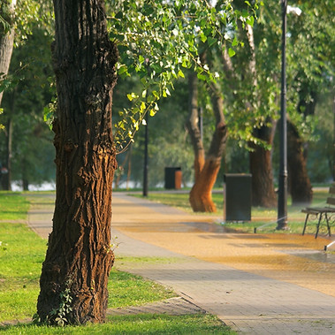 smart-irrigation-automatic-system-in-the-city-park-2021-09-23-06-01-16-utc.jpg