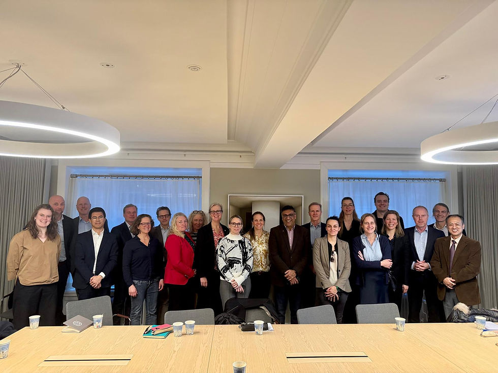 Roundtable at Government Offices, Stockholm, Sweden